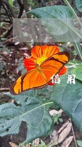 信用卡逾期被拘留 流程